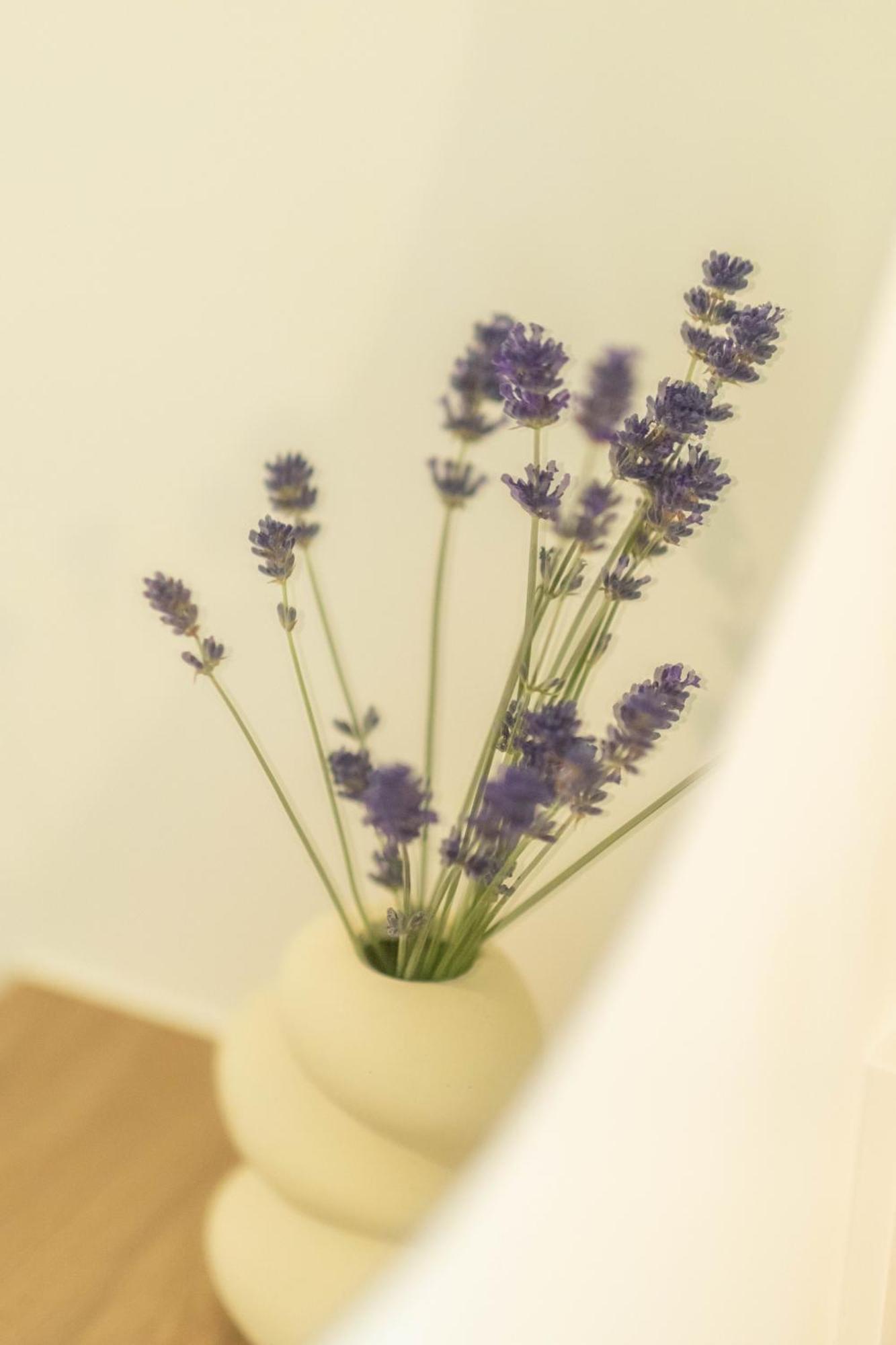 The Dunes, Beautiful Japandi Design Appartement Cadzand